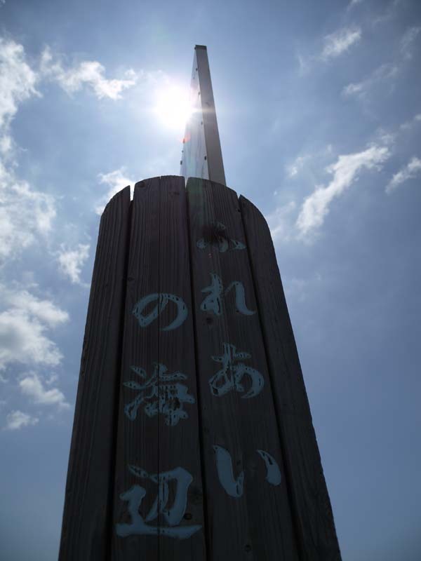 海岸で太陽を見上げた