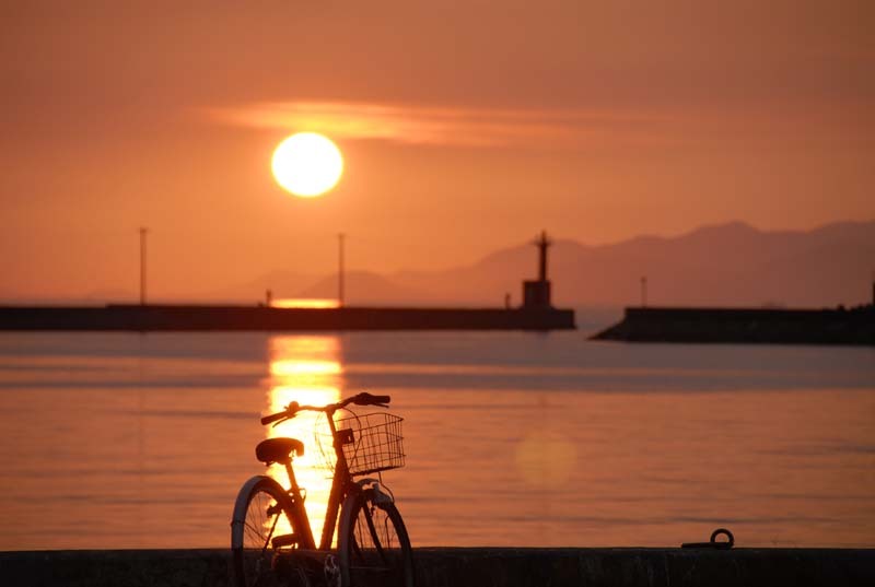 自転車