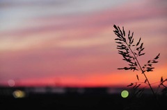 夕陽の海を見下ろす場所で