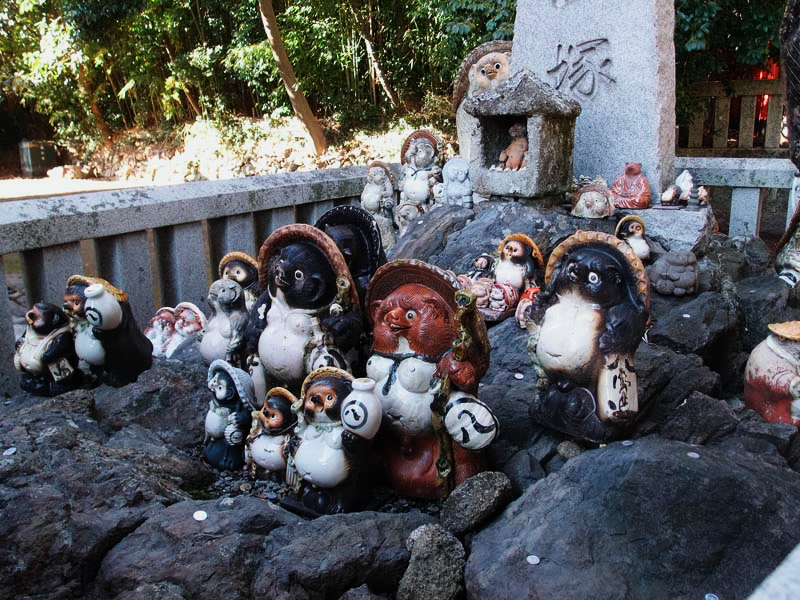 狸の団体