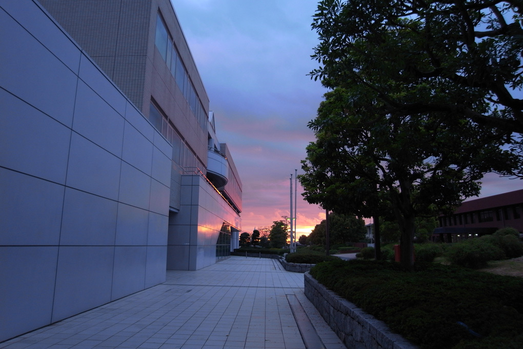 帰り道に見た夕日