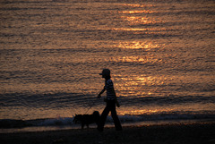 夕陽のお散歩