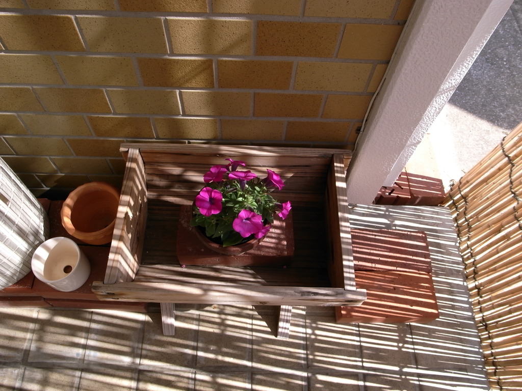 玄関先で見た風景