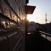 朝の光