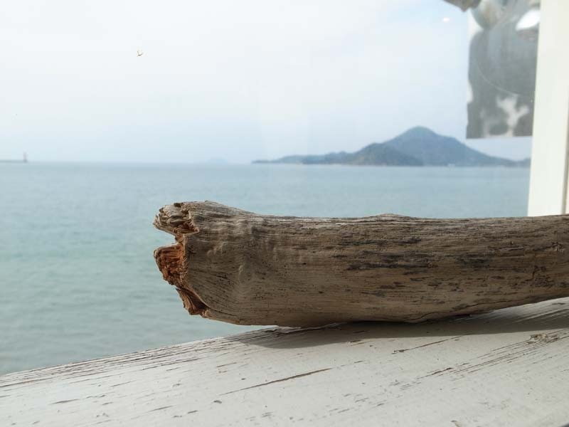 沖に島
