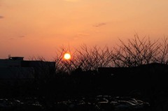 河川敷から見た夕日