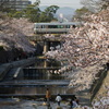 夙川の午後