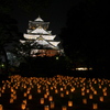 大阪城　城灯りの景