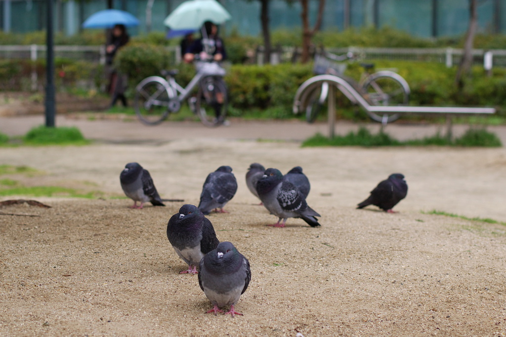 雨の日に