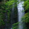 箕面滝（三）