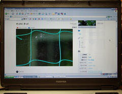 ネットにネットをネットで