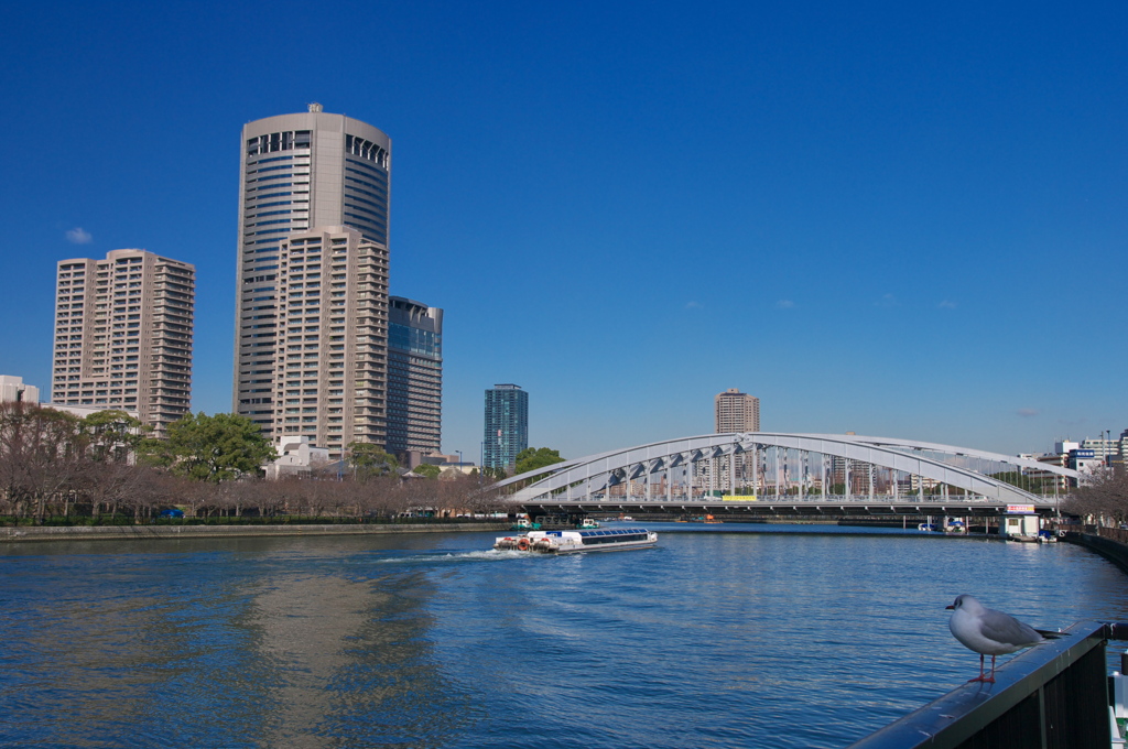 大川の冬
