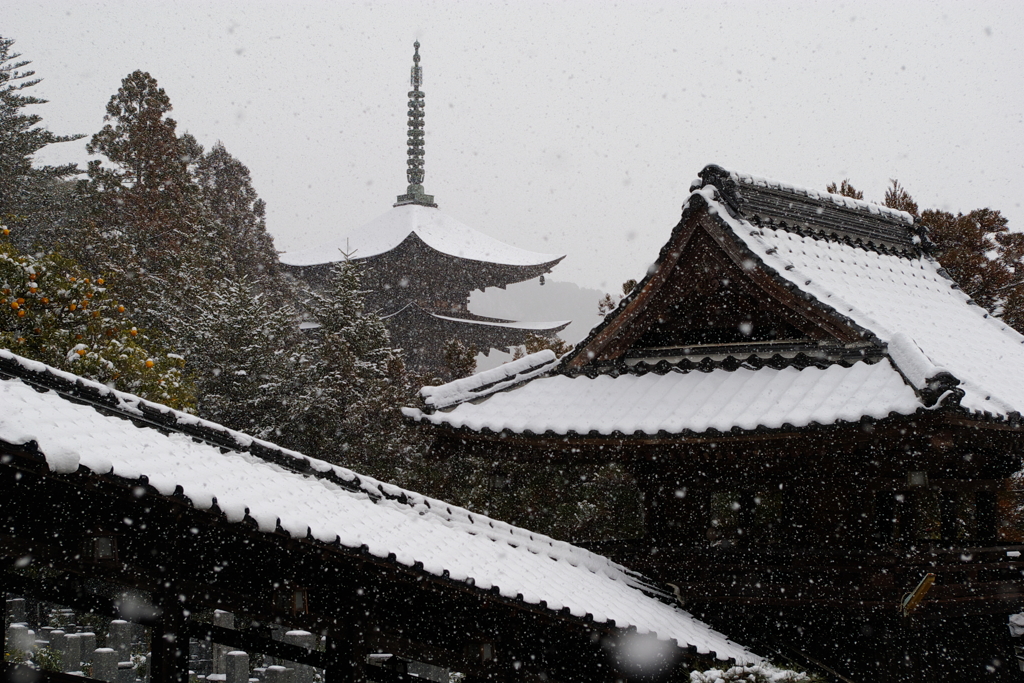 雪化粧　瑠璃光寺