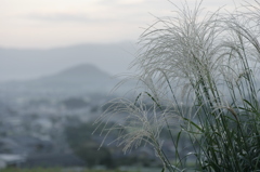 古の淡景色