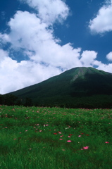 大山の夏