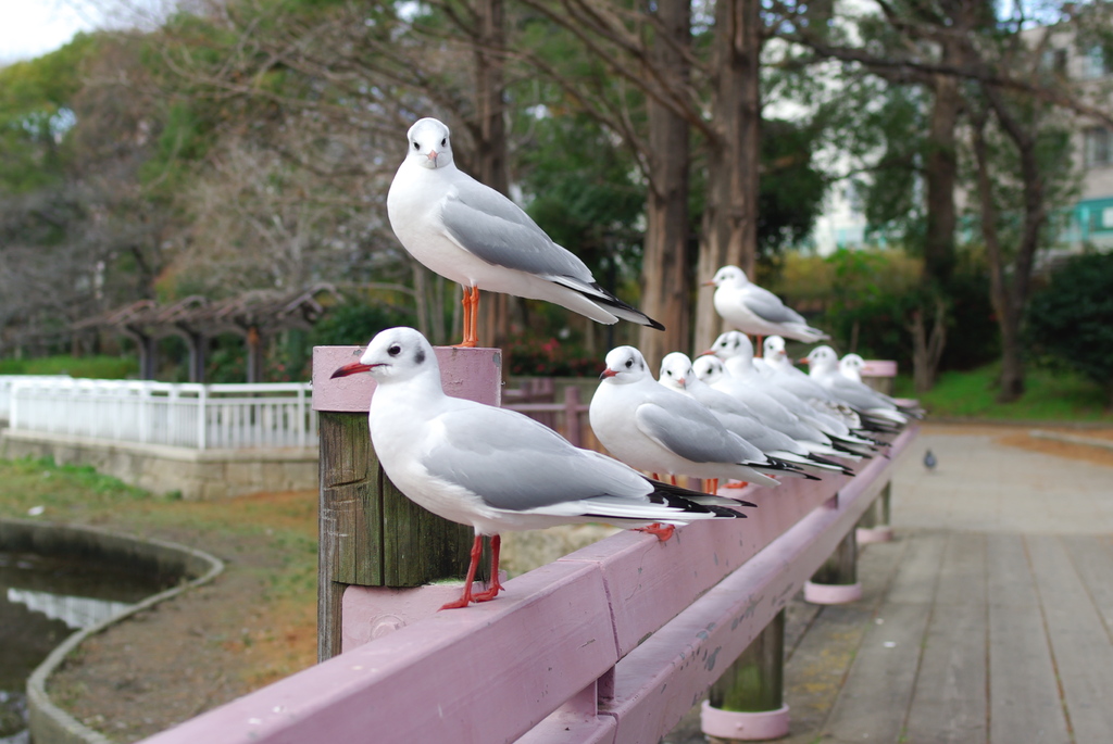 私に・・・何か？