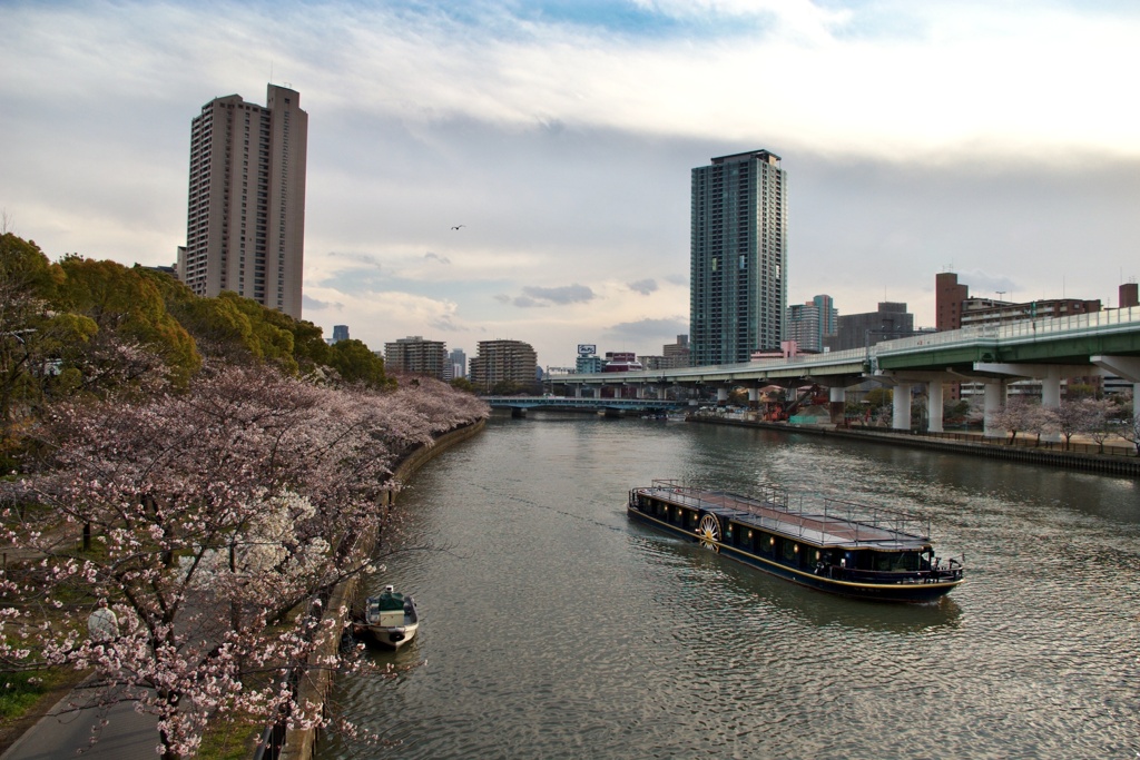 大川の春 2010