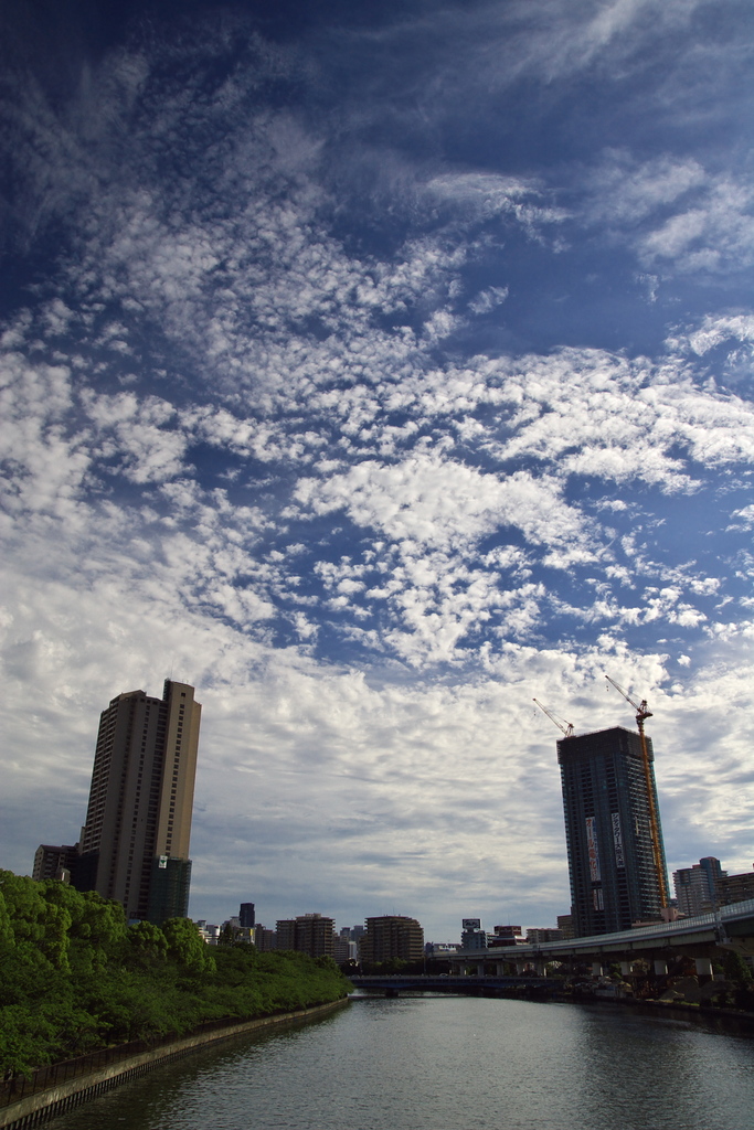 今日の空