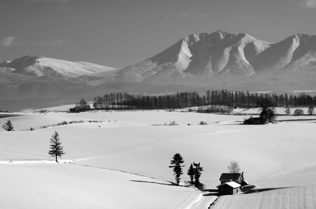オプタテシケ-2012 冬