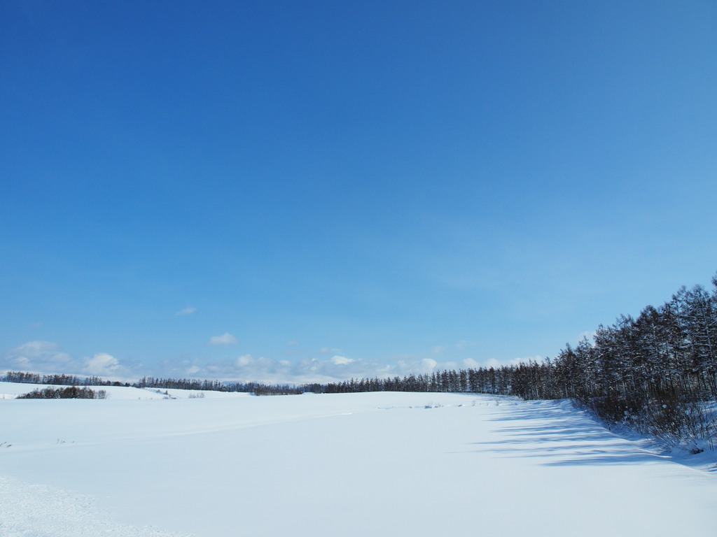 吹雪いた後に・・・