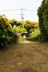 帰り道