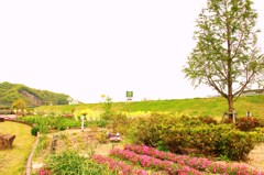 広場