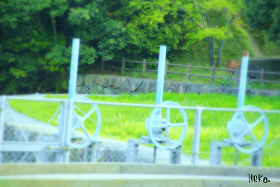 水門