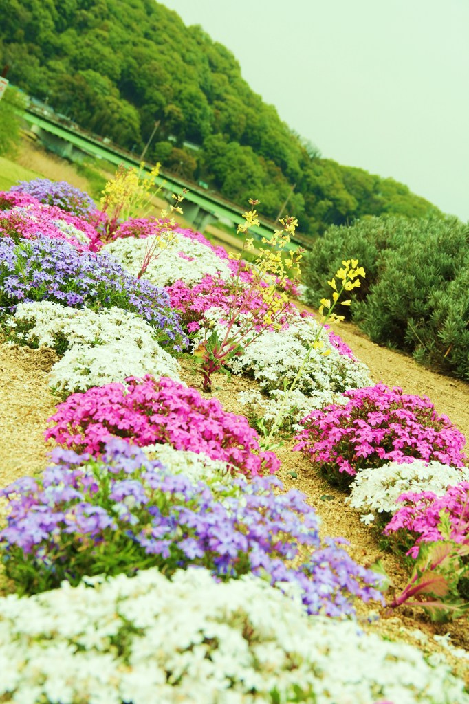 colorful．
