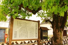 廉塾