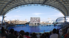 オーロラビジョン注意-名古屋港水族館-