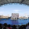 オーロラビジョン注意-名古屋港水族館-