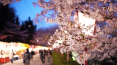 桜祭り -奈良県郡山市-