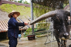 ちょ、痛いって