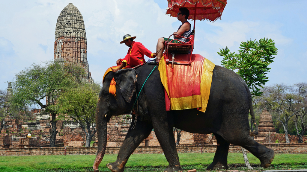 Elephant Ride