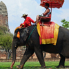 Elephant Ride