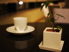 Cafe