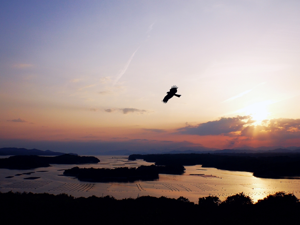 夕日 -ともやま公園-