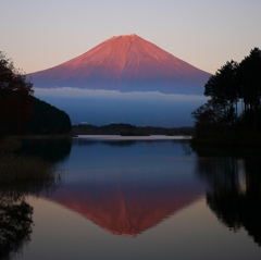 逆さ赤富士