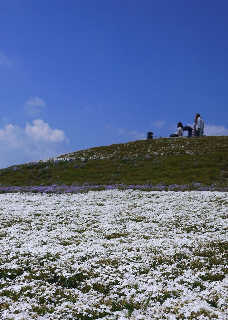 いい日ですねぇ