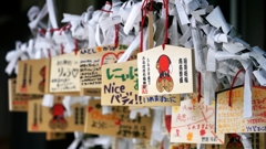 夢は｢Niceバディ!!｣