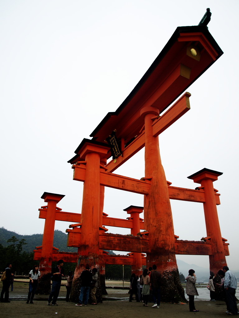 紅の大鳥居