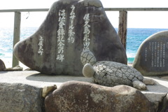 ウミガメ上陸日本一の浜