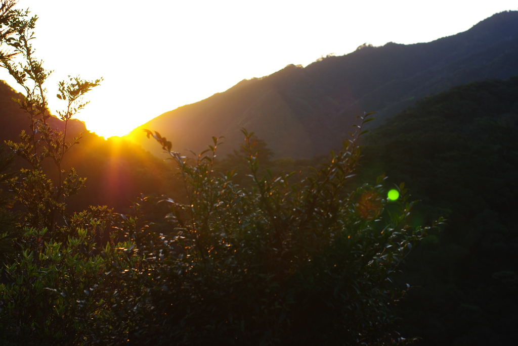 屋久島の朝日