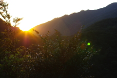 屋久島の朝日