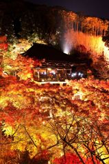 光葉の寺　in 清水寺