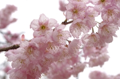 武丈公園8