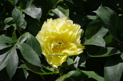 IMGP0482