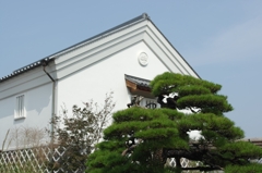 松
