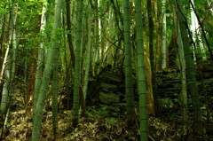 静寂