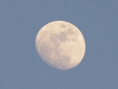 HTRIMGP0102